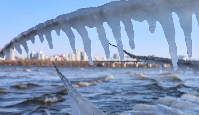 한파가 이어지고 있는 23일 서울 여의도 한강공원 강변에 고드름이 얼어 있다. / 뉴스1