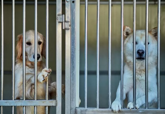 기사의 이해를 돕기 위한 자료 사진 /&nbsp;gettyimagesbank