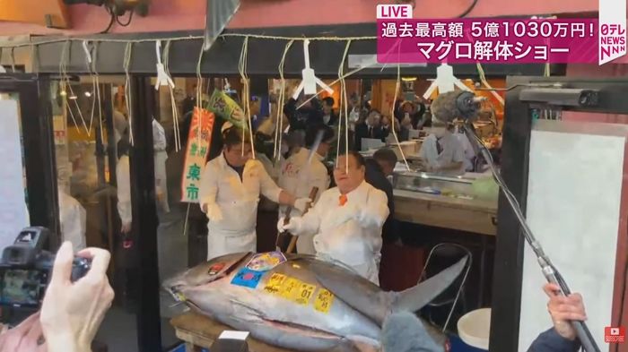 日 새해 첫 참치 경매에 등장한 ‘243kg’ 괴물참치... 낙찰액 봤더니