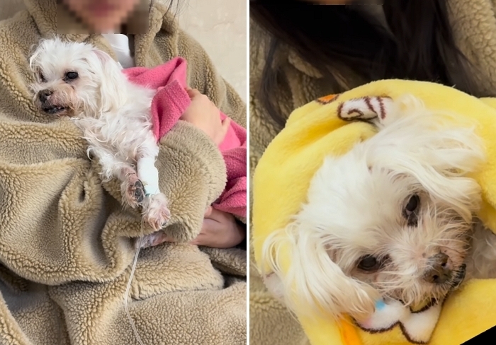 2026-01-05 15 34 27.jpg