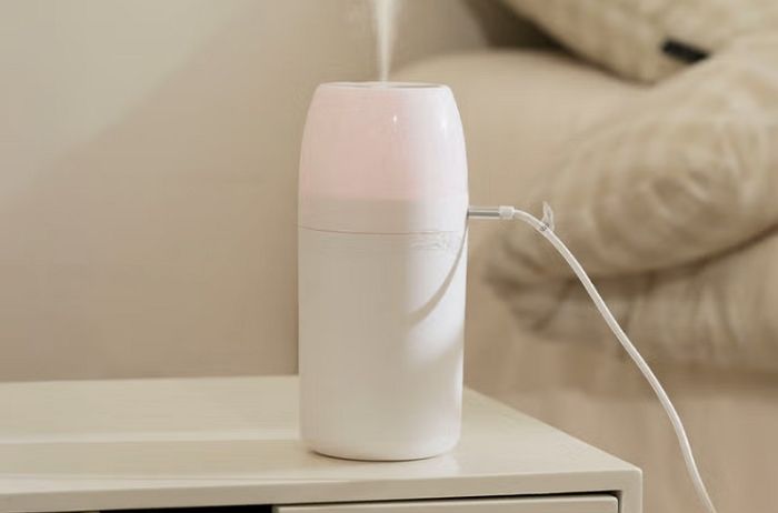 “다이소 가습기 사러 오픈런?”... 감성 디자인에 성능까지 다 잡아 ‘품절 대란’