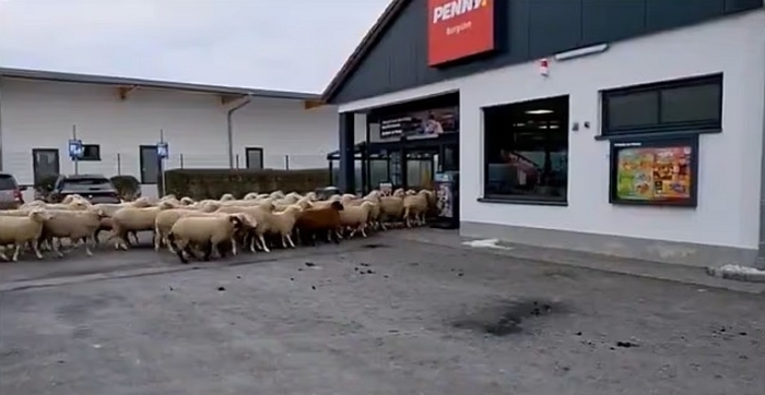 2026-01-08 15 06 14.jpg