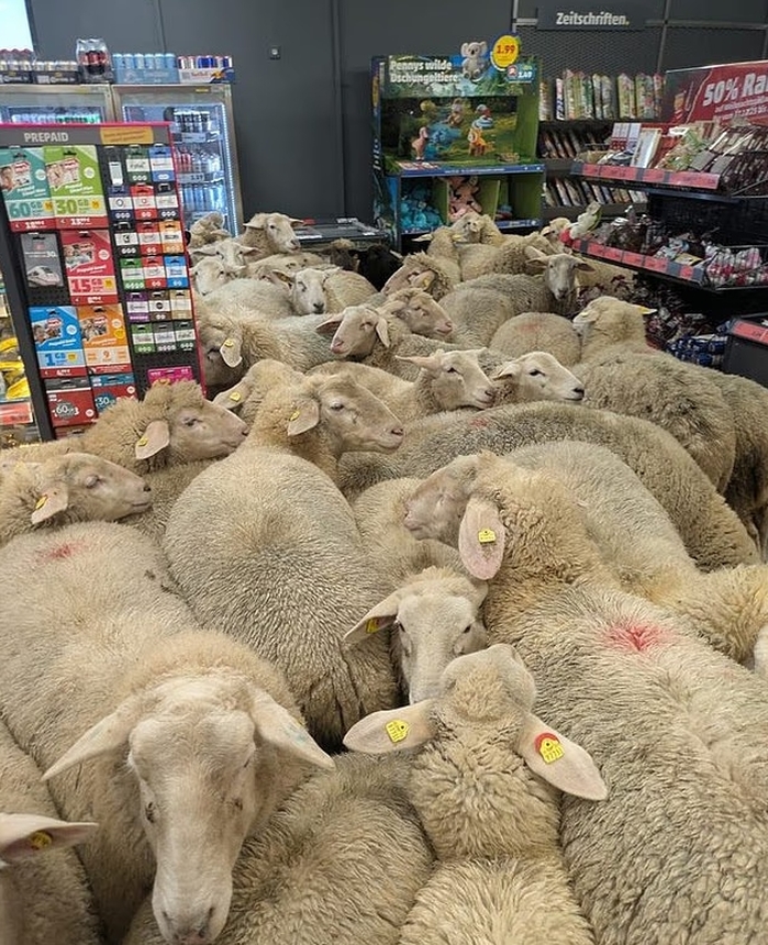 2026-01-08 15 06 02.jpg