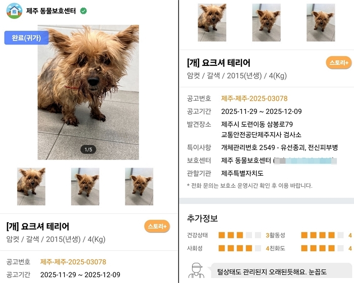 origin_이미죽은줄알았어요…6년전잃어버린반려견이돌아왔다 (1).jpg