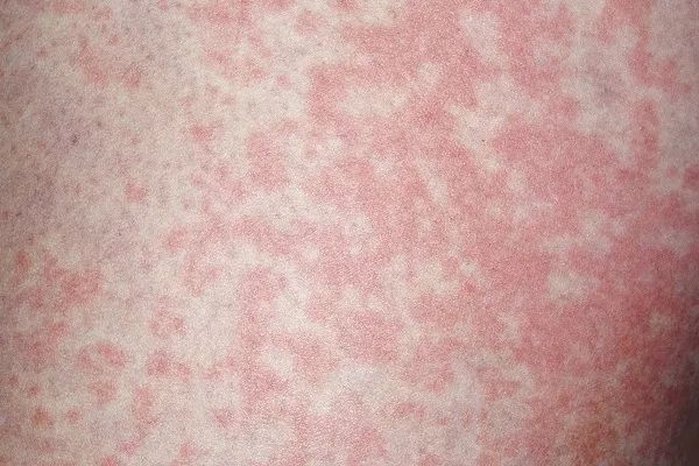 중화망(中华网)