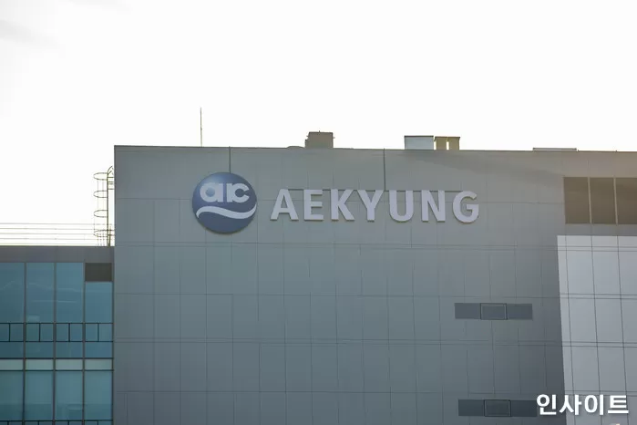 사진 = 인사이트