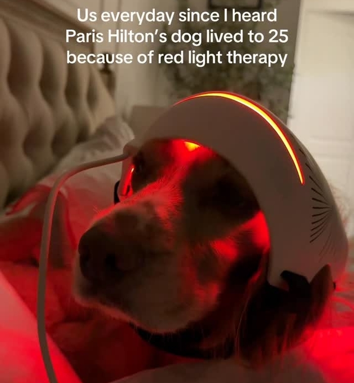 인스타그램 'victoriaxunderwood'