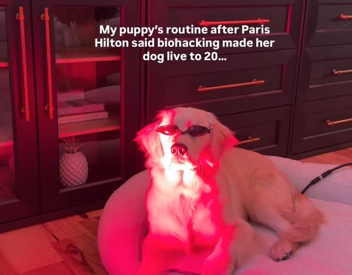 인스타그램 'kashleee'