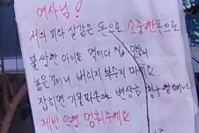 [보배드림 캡처]