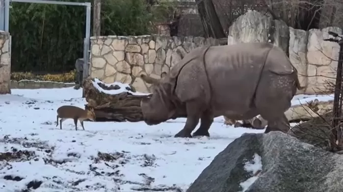 zoo wroclow 페이스북