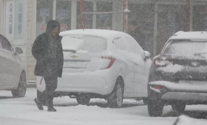 기사의 이해를 돕기 위한 자료 사진 / 뉴스1