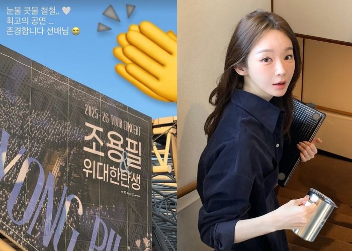 ‘다비치’ 강민경, 조용필 콘서트 관람 후 “눈물 콧물 절절”