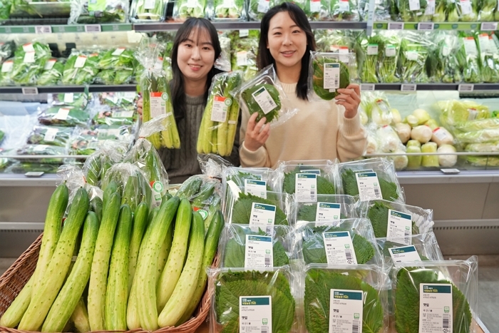 1. 롯데마트 스마트팜 채소 사진.jpg