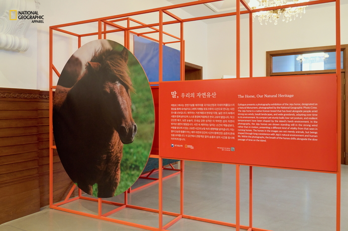 [보도자료 이미지] 내셔널지오그래픽 어패럴, 말의 해 특별전 '말, 영원의 질주' 참여.jpg