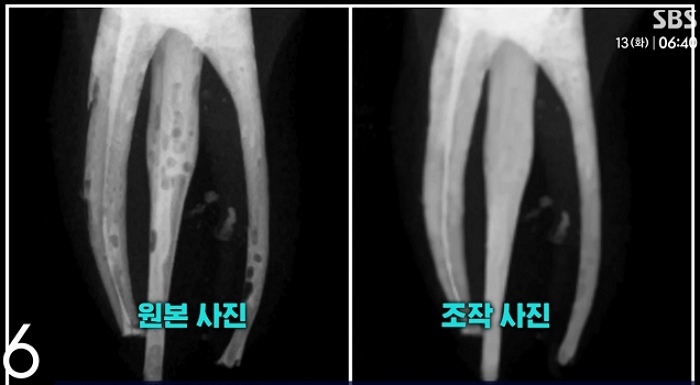 [단독] _포토샵으로 실습사진 조작_…치대서 '집단 부정행위' _ SBS 0-44 screenshot.jpg