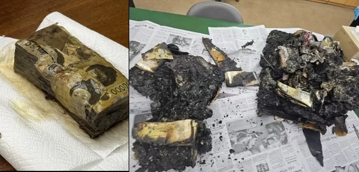 한국은행이 지난해 교환해준 손상화폐. 한은 제공