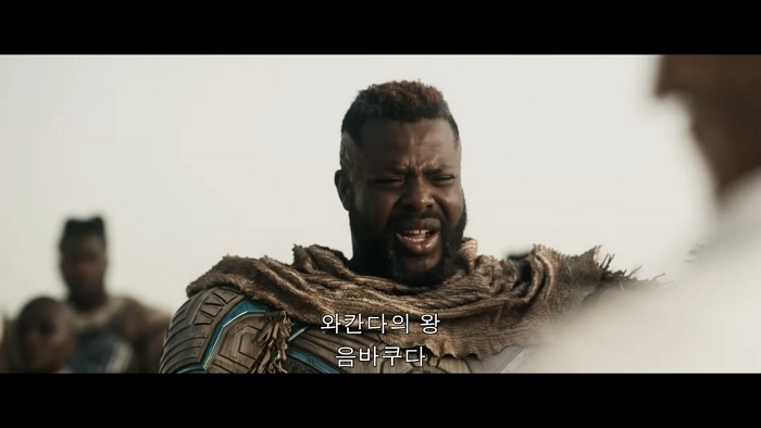 [어벤져스_ 둠스데이] '와칸다 & 판타스틱 4' 예고편 최초 공개 0-36 screenshot (4).jpg