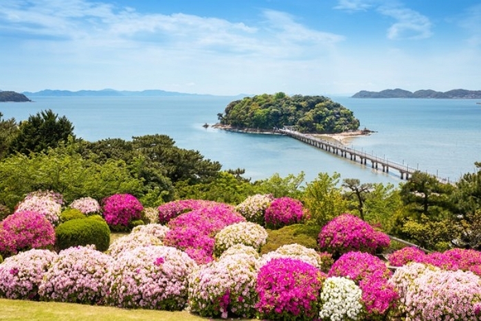 2026-01-15 11 14 52.jpg