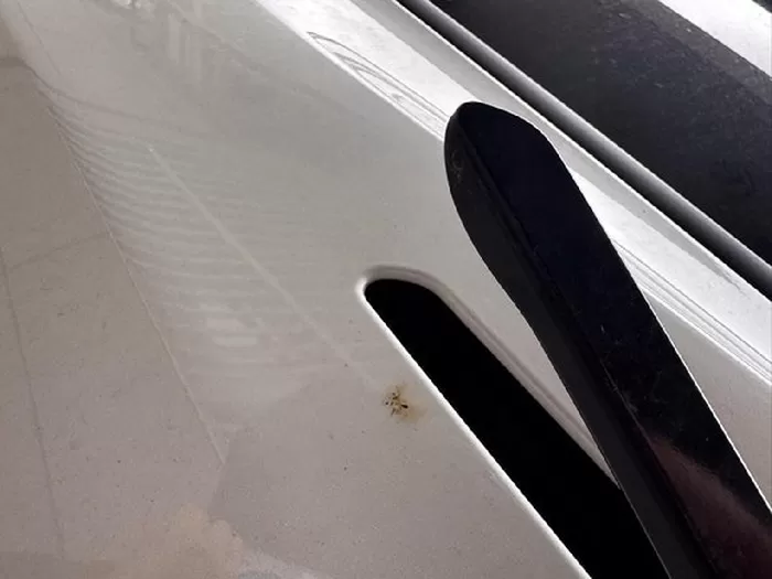 훼손된 뒷문 [사진=보배드림 캡처]