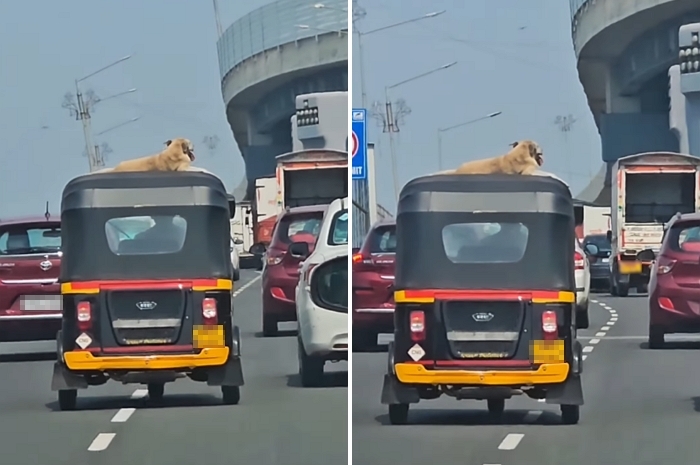 2026-01-16 14 30 32.jpg