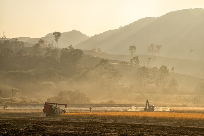 [참고이미지] 캐논갤러리 '한국의 발견' 전시 작품 이미지 (2).jpg