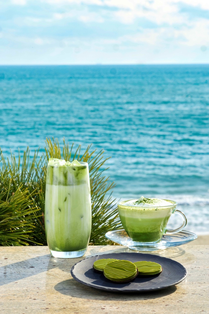 해운대 오션뷰와 즐기는 초록빛 휴식... 파라다이스 호텔 부산X오설록, ‘말차코어’ 웰니스 호캉스 선보여