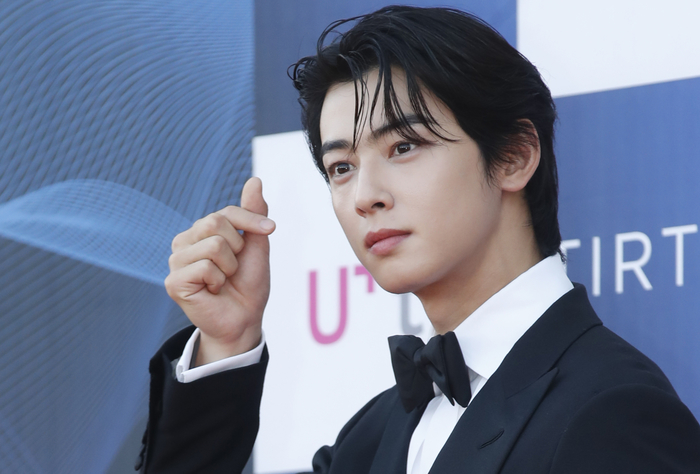 차은우 '200억 탈세 의혹' 파문... 광고계, 영상 삭제·비공개 '손절' 움직임