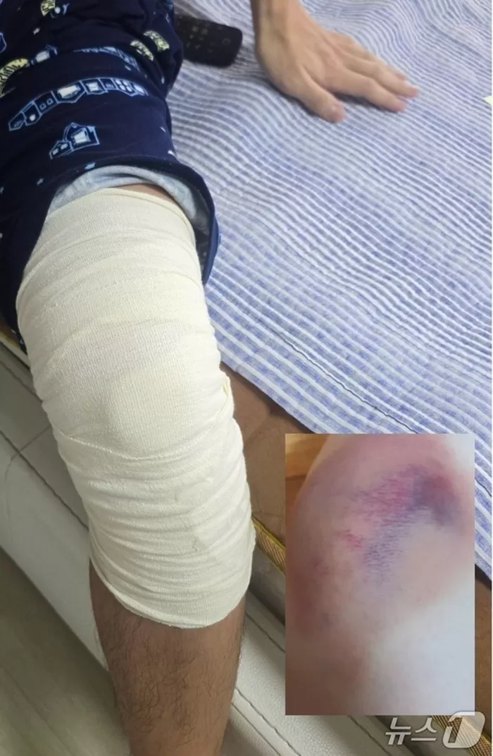 “장난이었다” 주장한 190cm·120kg 고교생, 전치6주 학폭 결국 소년부로