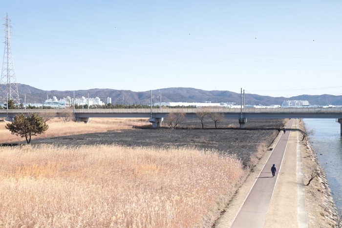 축구장 5개 면적 태운 ‘울산 억새밭’ 화재... 경찰, 50대 방화 용의자 긴급체포