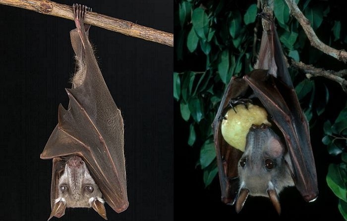 기사의 이해를 돕기 위한 자료사진 / GettyimagesBank