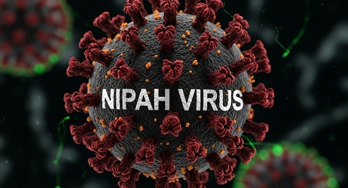 인도서 백신·치료제 없는 ‘니파 바이러스’ 확산... 100명 격리