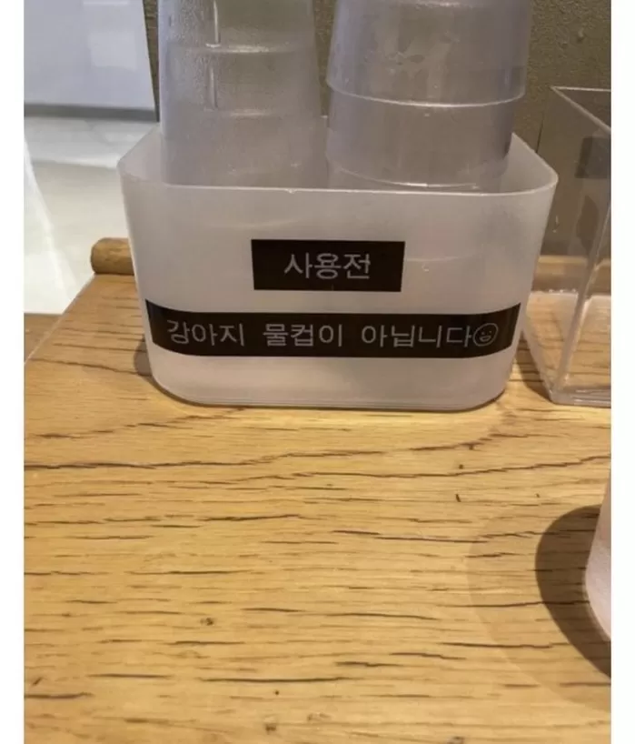 “반려견 물컵 NO”... 스타벅스 매장에 붙은 ‘경고문’에 갑론을박