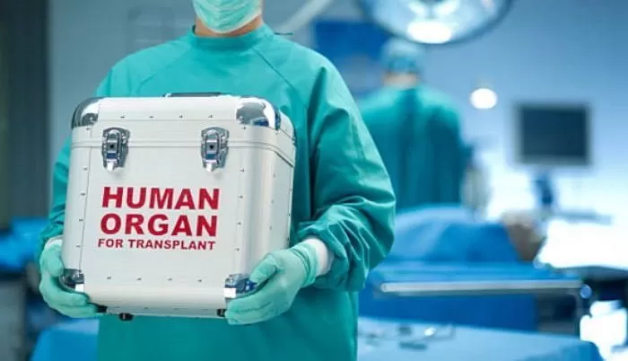 기사의 이해를 돕기 위한 자료 사진 / gettyimagesBank