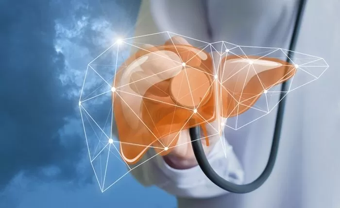 기사와 관련 없는 자료 사진 / gettyimagesBank