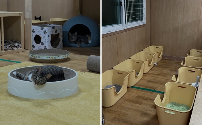 2026-01-26 16 03 07.jpg