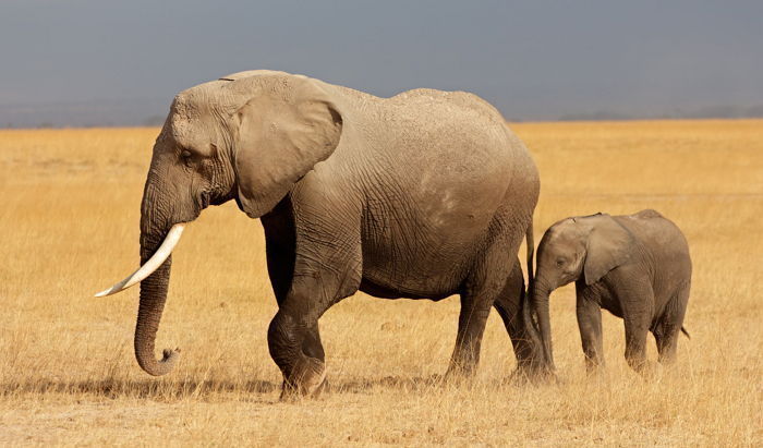 기사의 이해를 돕기 위한 자료사진 / GettyimagesBank