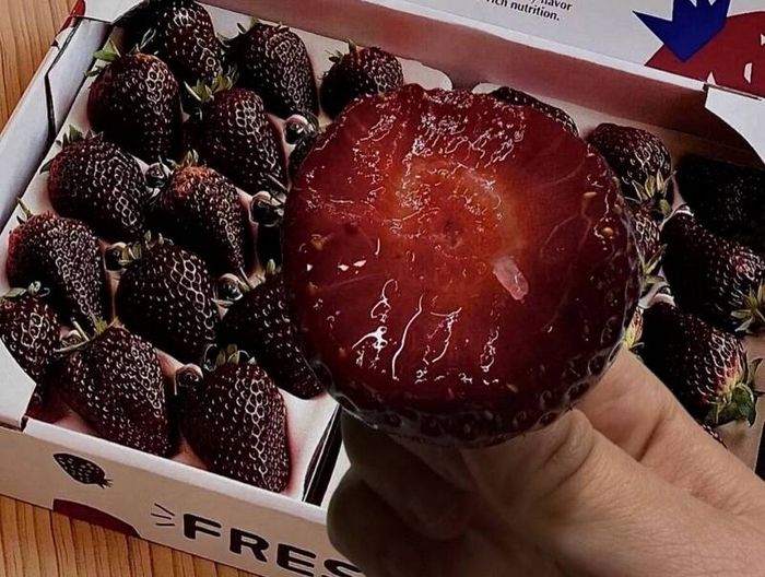 검은데 더 달고 몸에도 좋아 판매량 폭증한 ‘블랙펄 딸기’