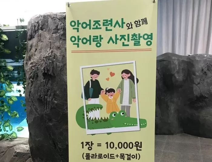 환경단체 “대전아쿠아리움, 악어쇼·먹이체험 등 불법 동물체험 여전”