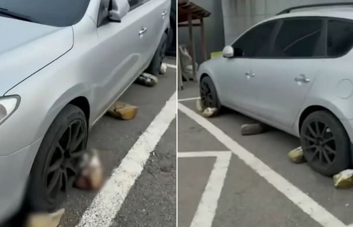 “다른 차는 넘어오지마”... 접착제로 바닥에 돌 붙여 주차 막은 이웃