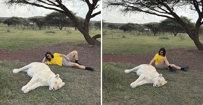 “사자 털끝 건드려봤다”... 노홍철, 잠든 사자 옆에서 여유만만 포즈