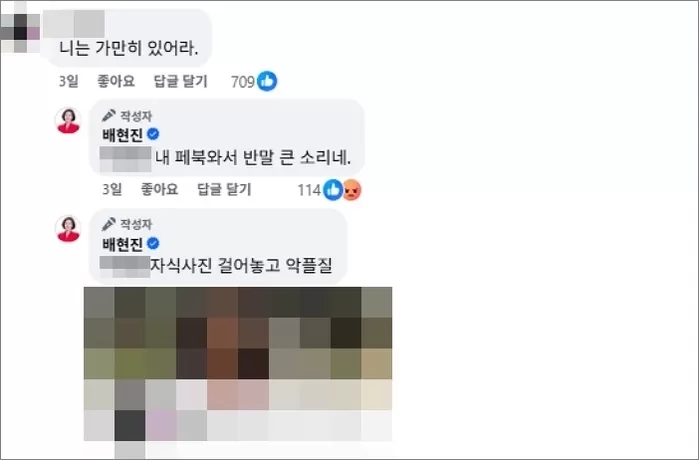 배현진 페이스북