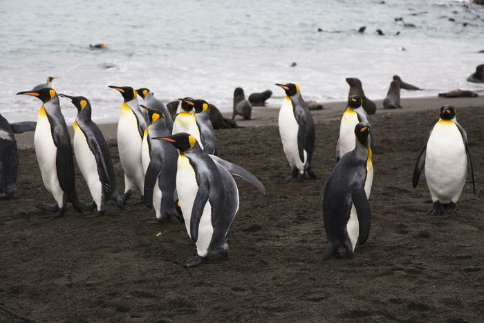 기사의 이해를 돕기 위한 자료사진 / GettyimagesBank