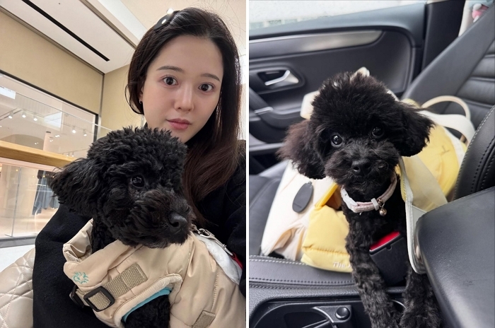 남보라, 세 번째 임보견과 이별... “괜찮을 줄 알았는데 슬퍼”