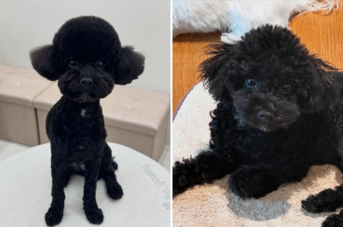 2026-02-03 15 43 19.jpg