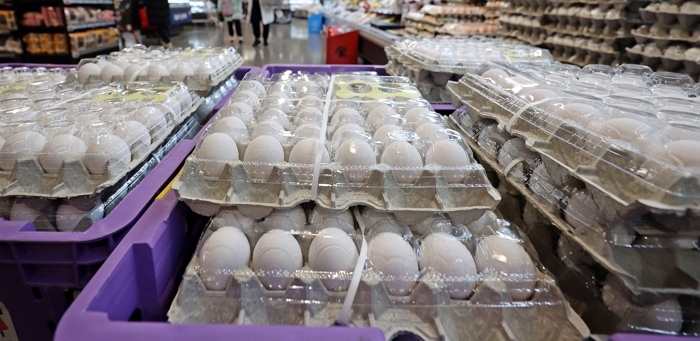 ‘AI 여파’ 미국산 백색란 대량 등판... 소비자들 “어떤 걸 골라야 하나요?”