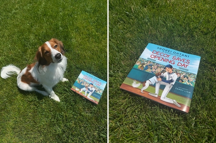 “야구 말고 이것까지?”... 오타니가 쓴 동화책, 나오자마자 ‘베스트셀러 1위’ 등극