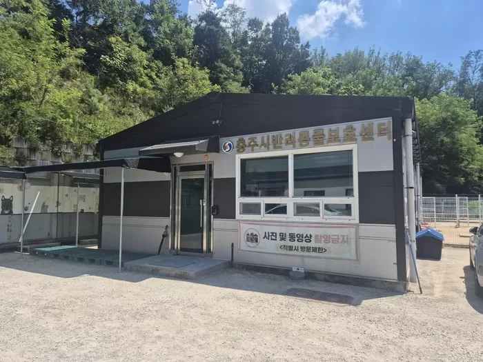 “사지 말고 입양하세요”... 충주시, 유기동물 가족으로 맞이하면 ‘입양비’ 지원해준다