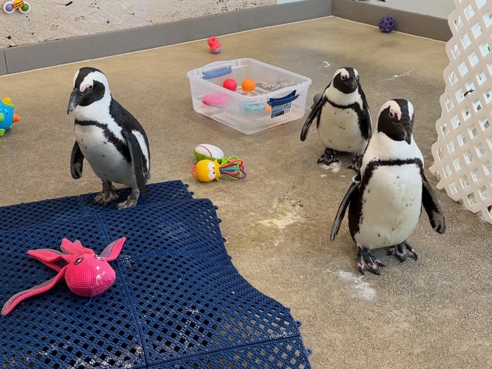 롱아일랜드 수족관 인스타그램