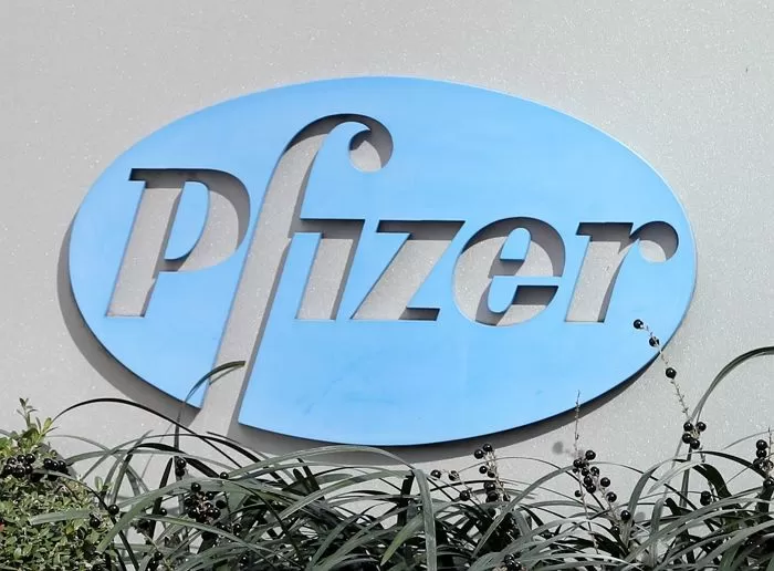 기사와 관련 없는 자료 사진 / 뉴스1