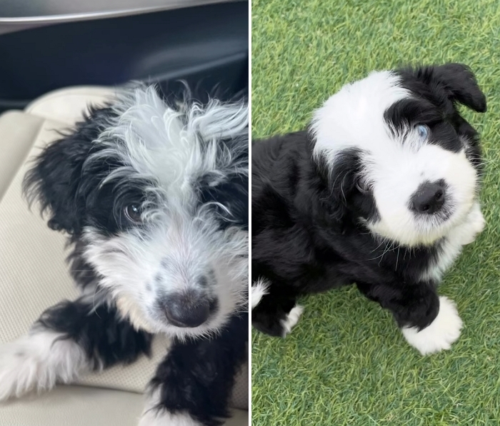 2026-02-05 14 38 10.jpg